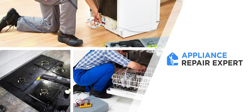 Appliance Repair Expert