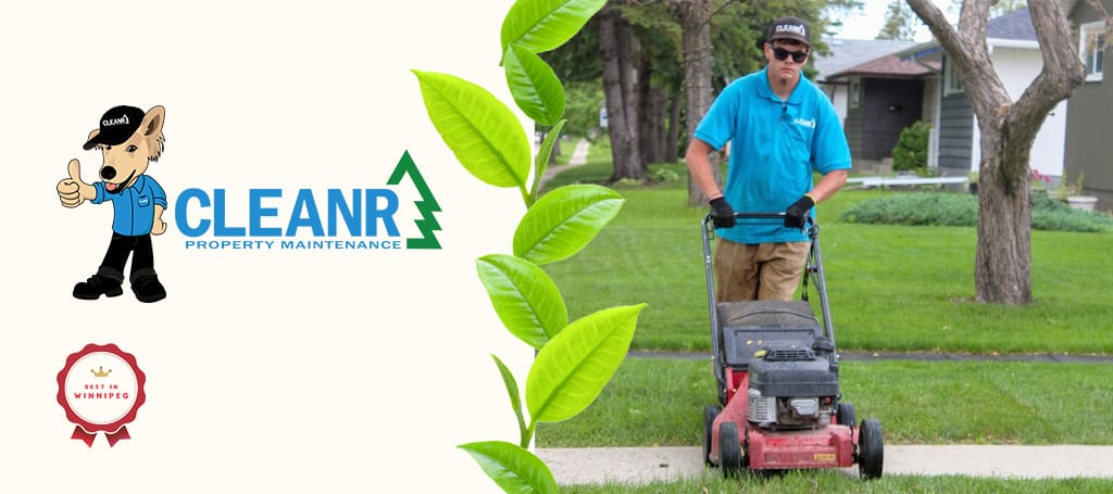 Cleanr Property Maintenance Snow Removal & Lawn Care