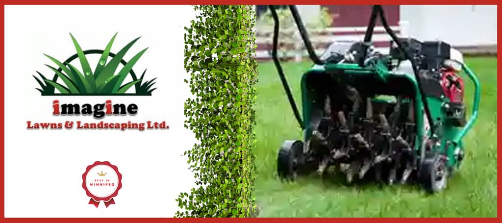 Imagine Lawns & Landscaping, Inc