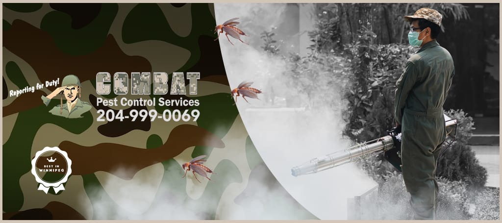 Combat Pest Control Services