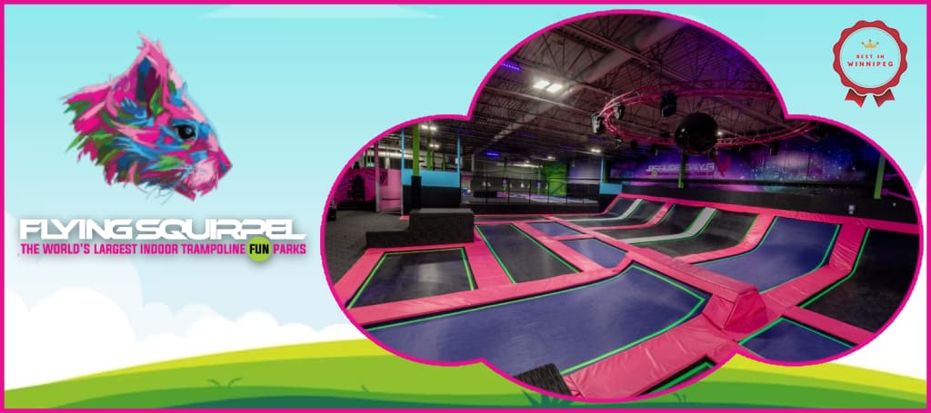 Flying Squirrel Trampoline Park