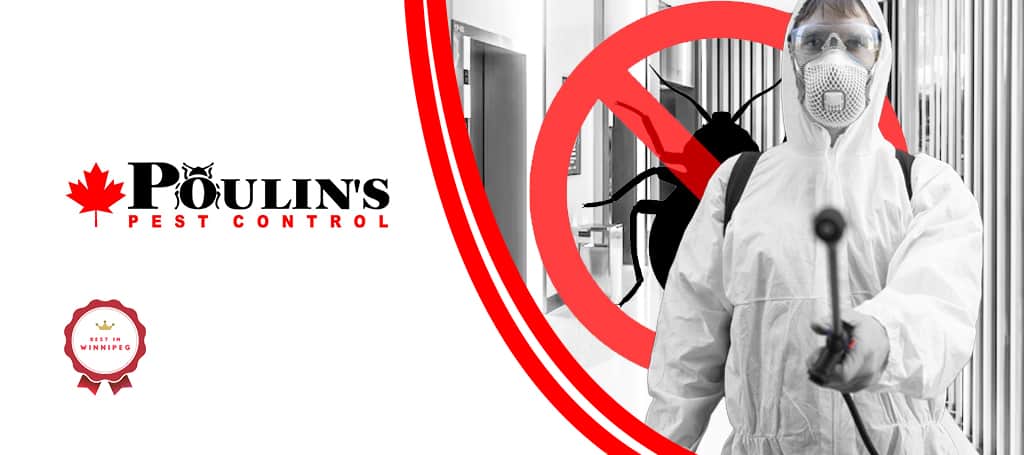 Poulin's Pest Control Winnipeg