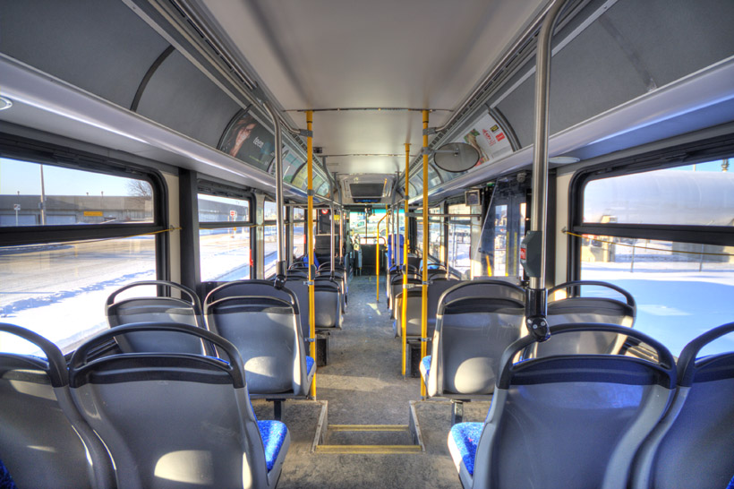 What accessibility features are available on Winnipeg buses