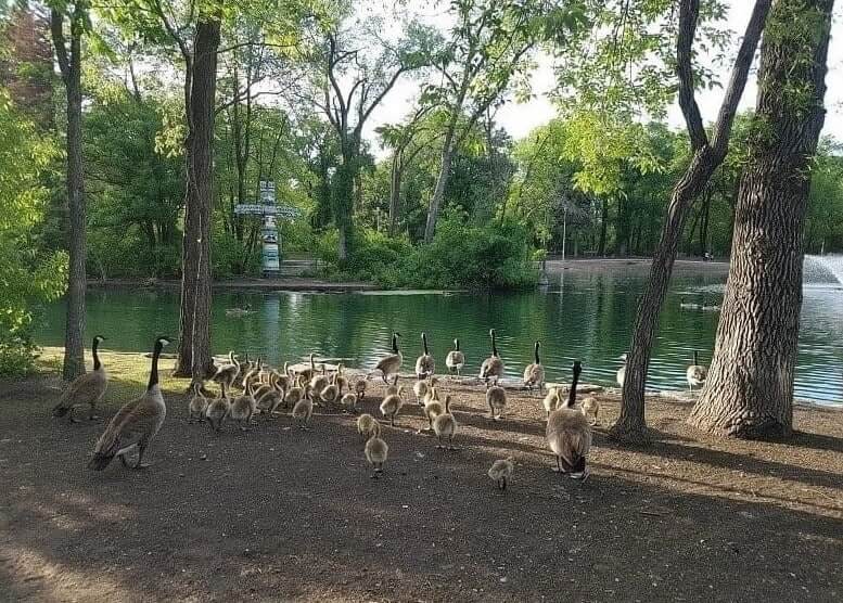 St. Vital Park